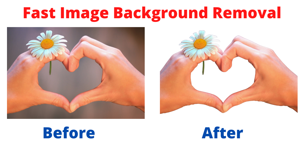 Fast Background Removal