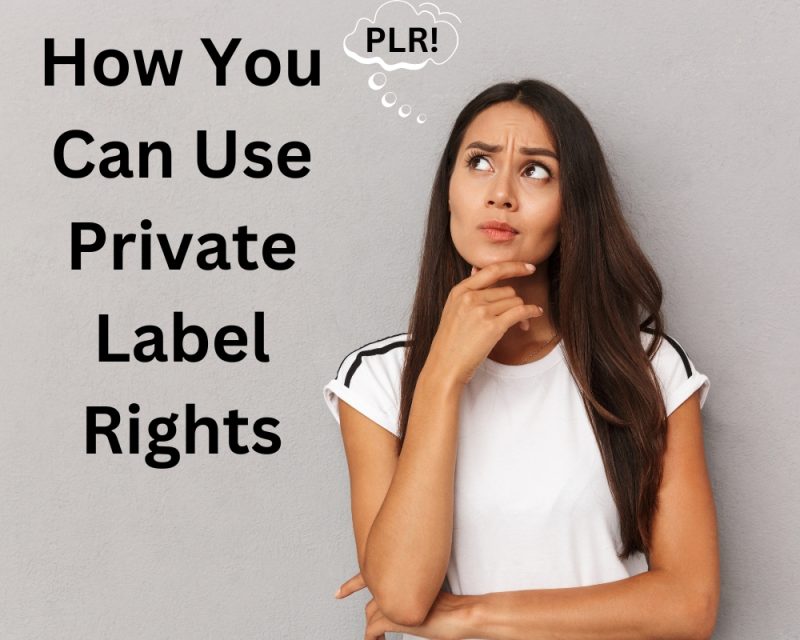 What Is PLR and How You Can Use Private Label Rights